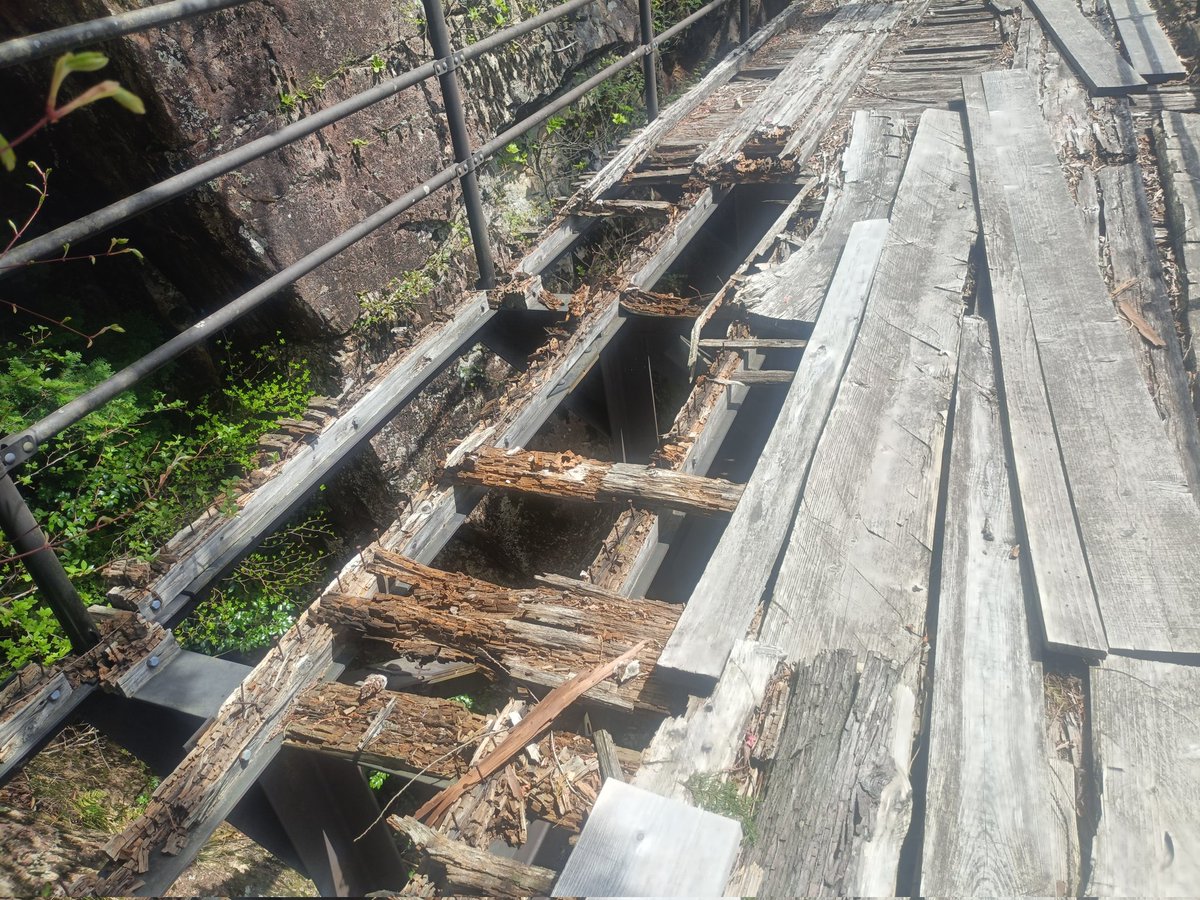 Nakashima tweet media