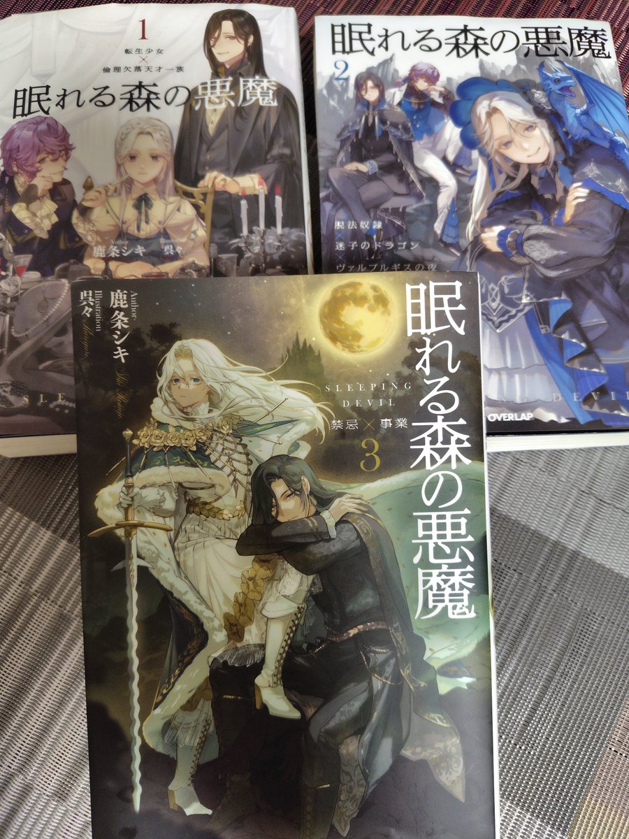 眠れる森の悪魔、3巻ようやく読了。
先生は何者なのかが目下の疑問。
シェリエル泣かせなければ何者でもいい。
泣かしていいのはディディエだけ（と思っている）
次巻、学院編が楽しみです。