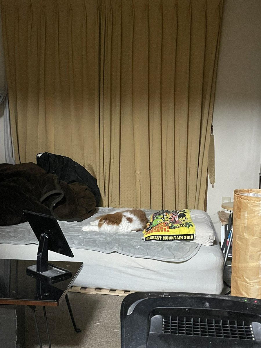 ワニナレナニワ tweet media