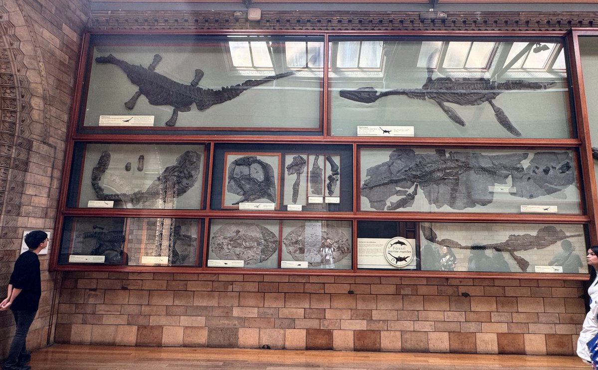 TOKYOMODELING@次回はWF2026s tweet media