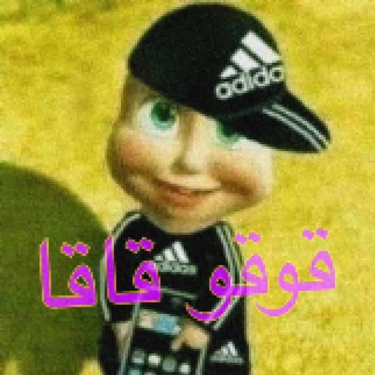 melu 🐍 tweet media