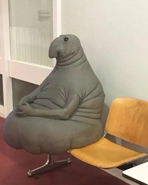 Foxybonsoir tweet media