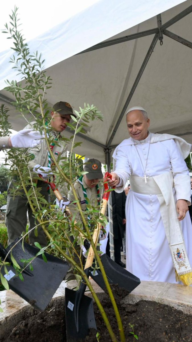 Vatican News tweet media