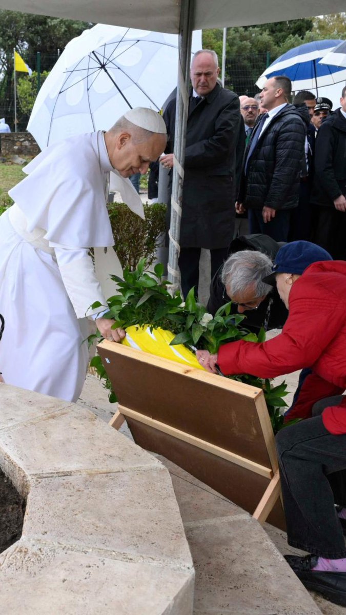 Vatican News tweet media