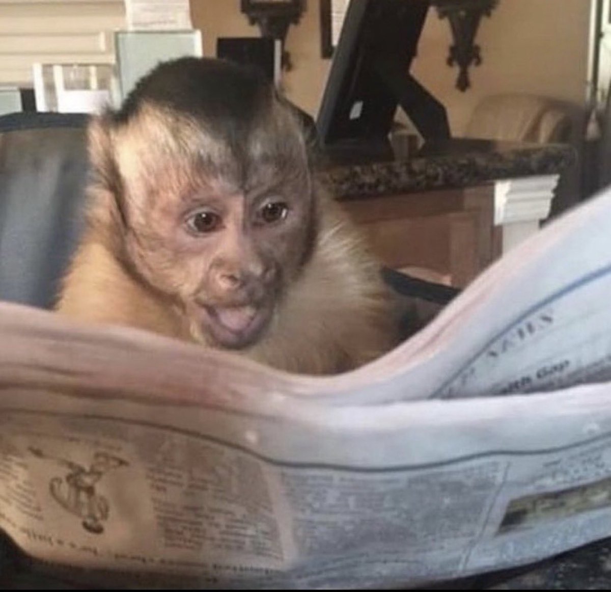 Goooooood morning everyb- WOOOAH