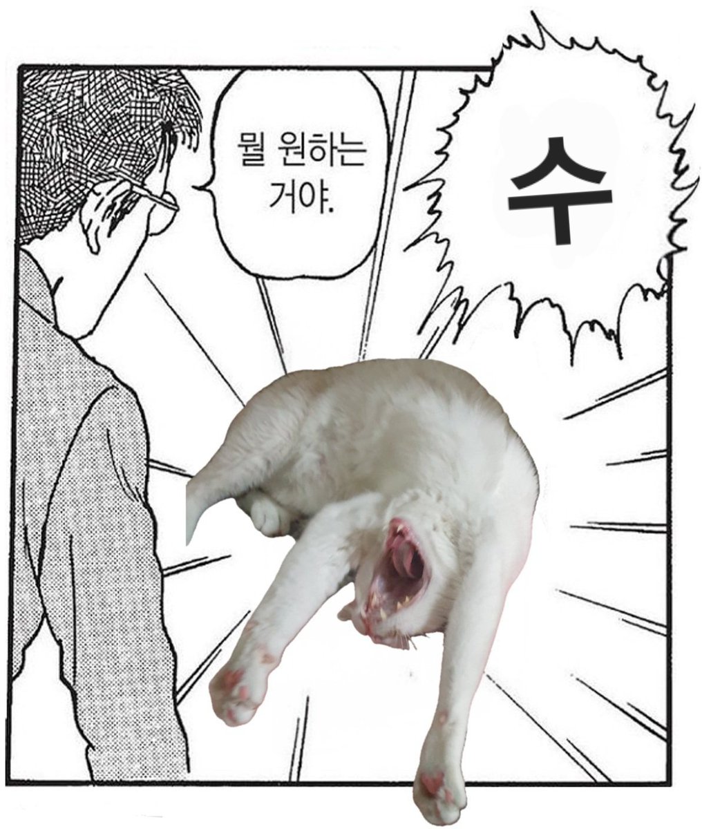 샨☀️ tweet media