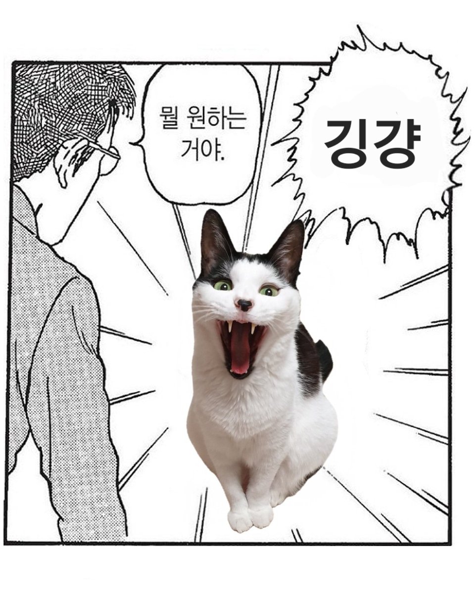 샨☀️ tweet media