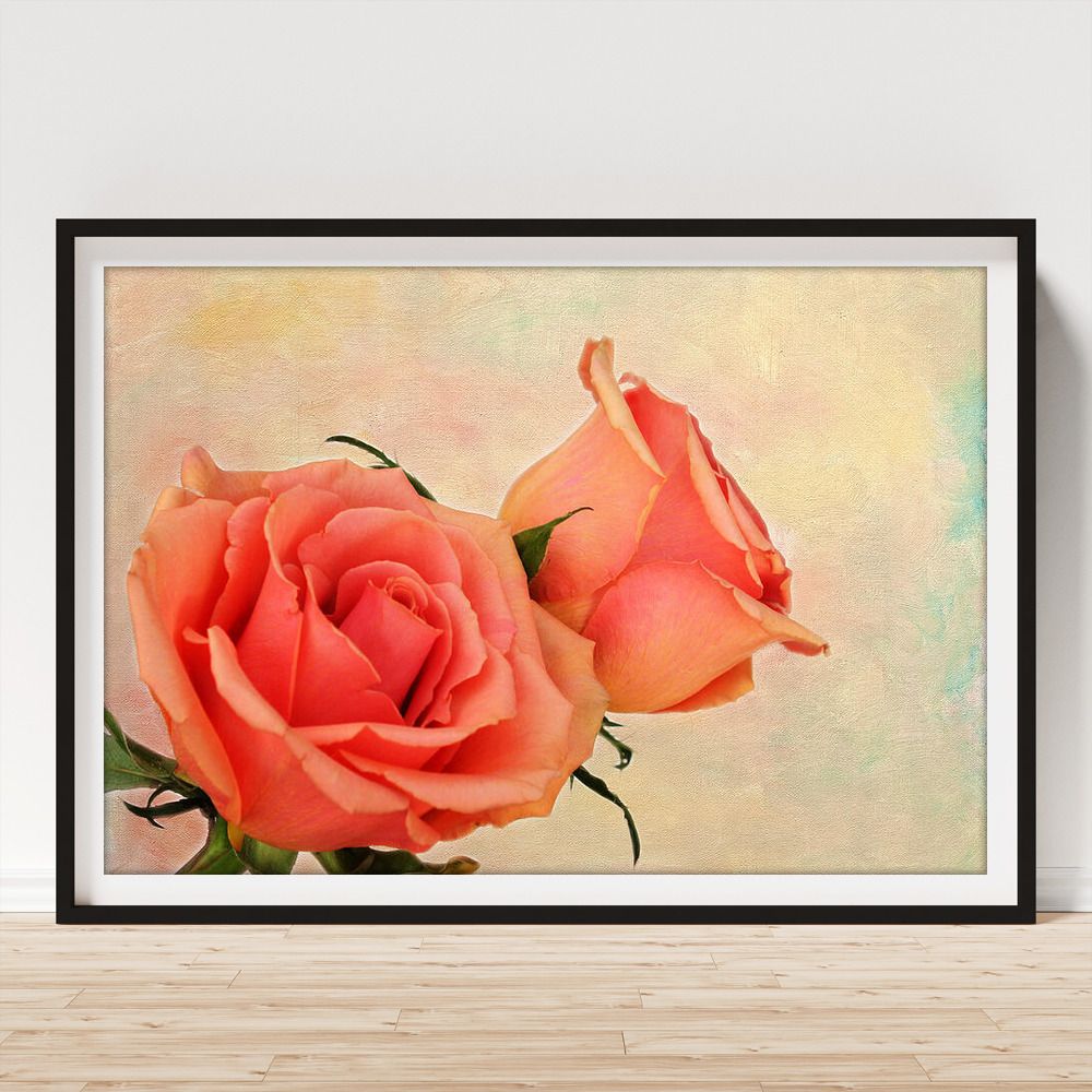 JudyVincent74's tweet image. Peaches and Cream Art Print available as canvas, metal, wood, acrylic, framed prints and on many products #roses #flowers #floral #WallArt #HomeDecor #BuyIntoArt #giftideas #JudyVincentPhotography 
See all products here ---&amp;gt; buff.ly/BQZiUbT