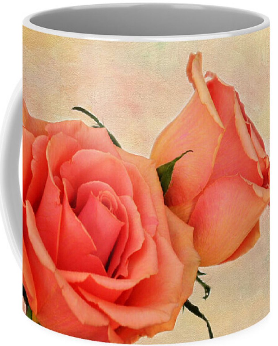 JudyVincent74's tweet image. Peaches and Cream Art Print available as canvas, metal, wood, acrylic, framed prints and on many products #roses #flowers #floral #WallArt #HomeDecor #BuyIntoArt #giftideas #JudyVincentPhotography 
See all products here ---&amp;gt; buff.ly/BQZiUbT