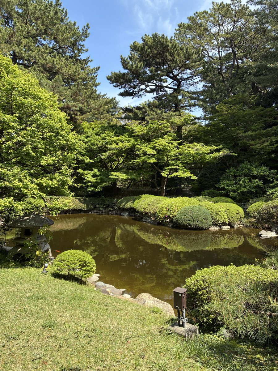 藤色葉菜 tweet media