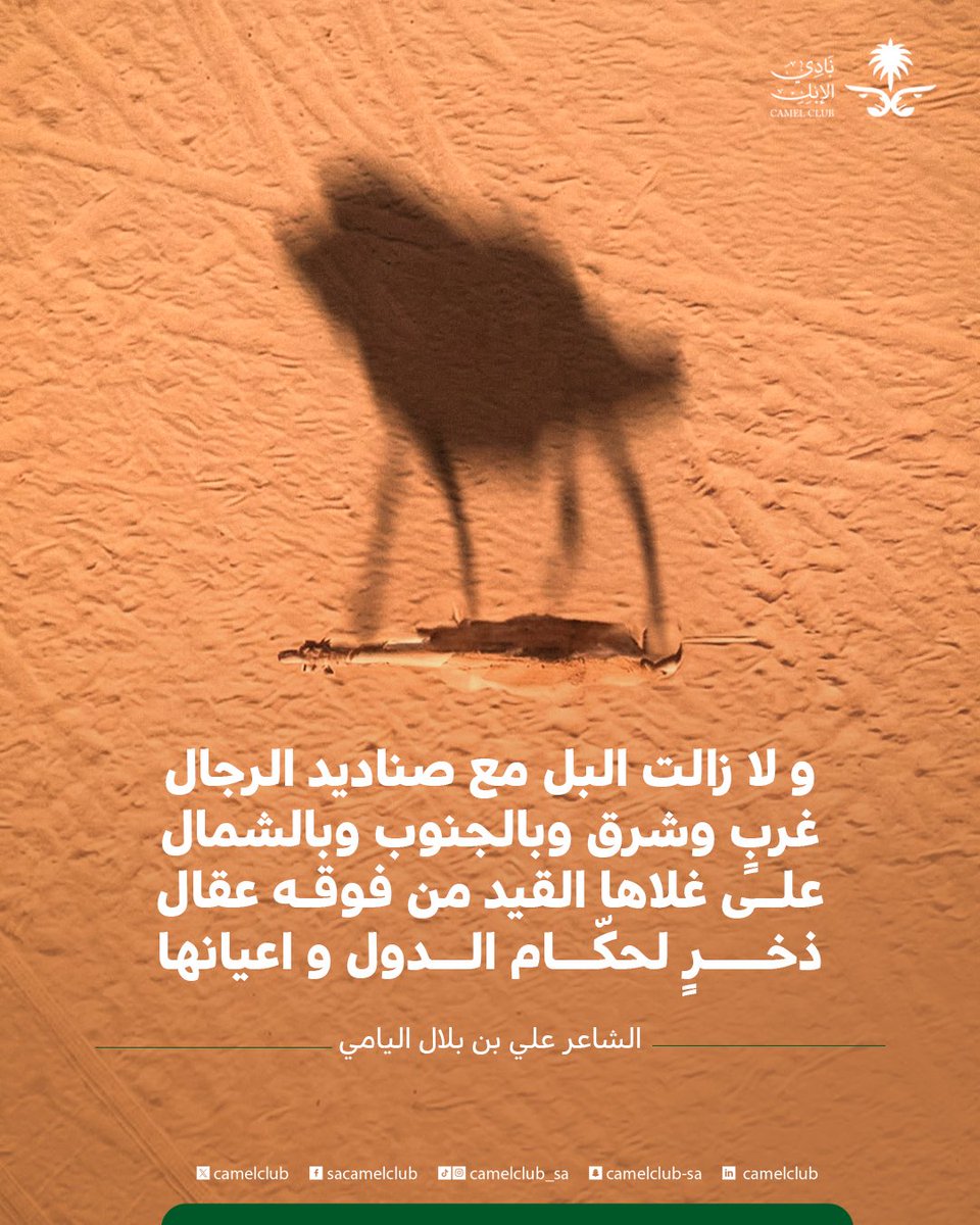 نادي الإبل tweet media