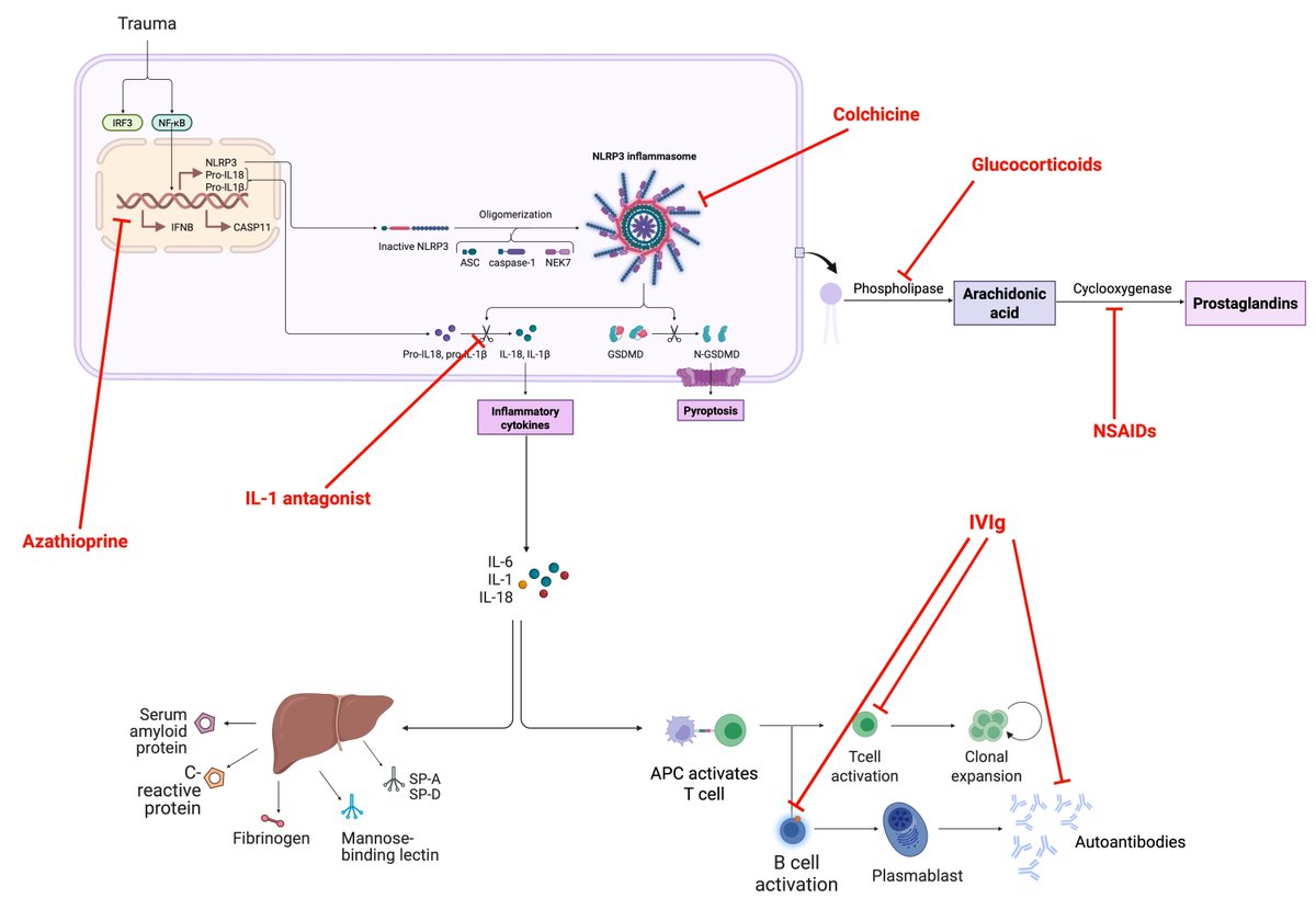 DeBakey CV Education - World Class CV Training tweet media