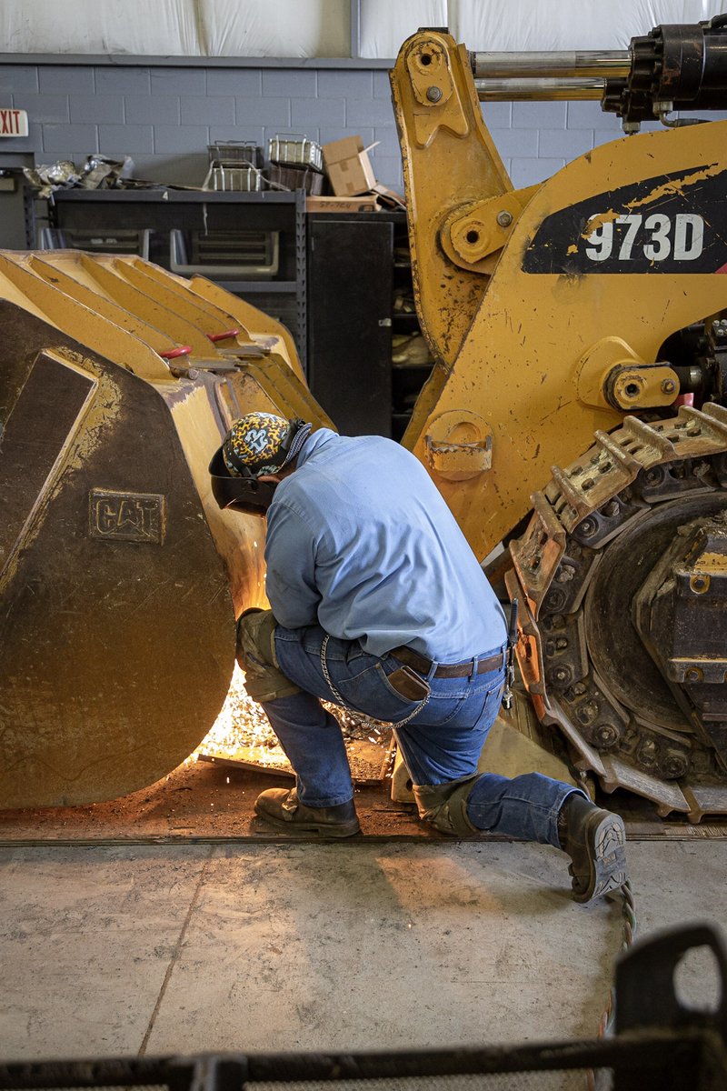 HOLT_CAT tweet media