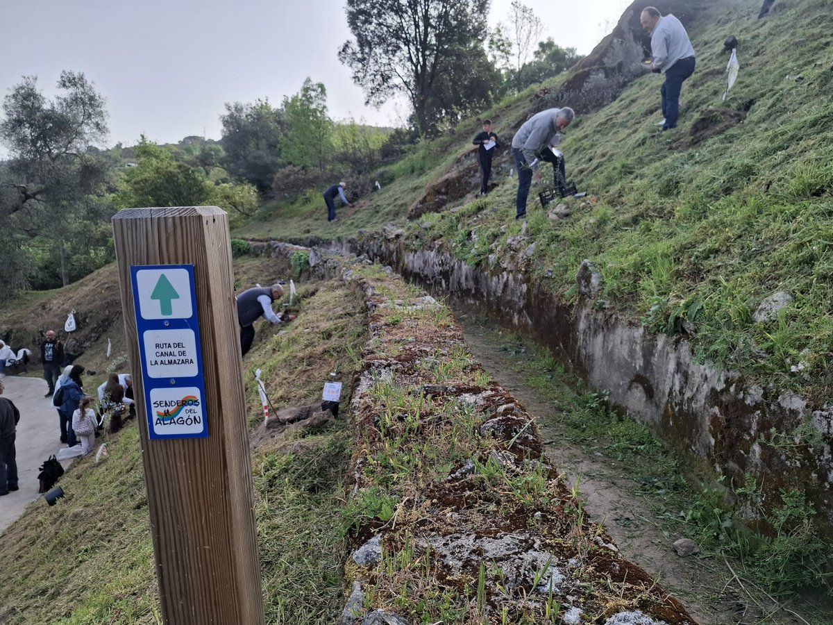 Asociación Olearum Cultura y Patrimonio del Aceite tweet media