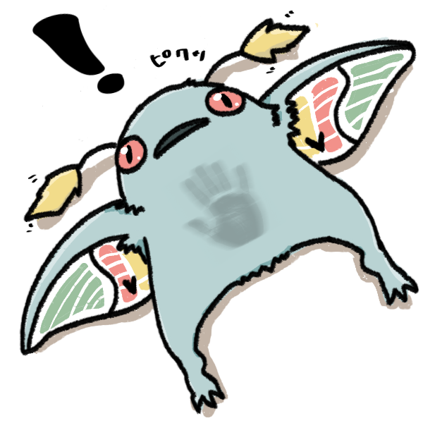 ひよこまめ tweet media