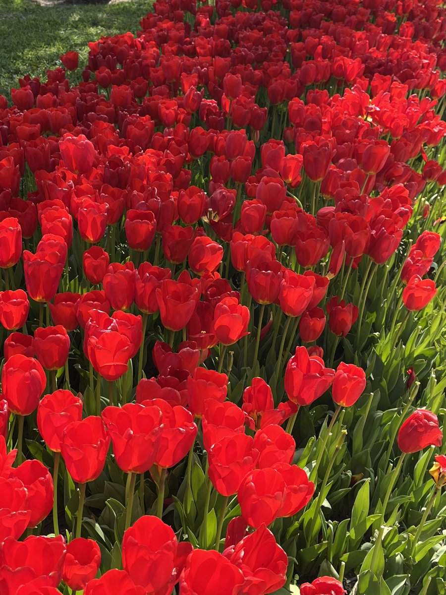 fatmacikgel's tweet photo. 🪬☀️🌷✨🫧 https://t.co/k4nKHVtbKY
