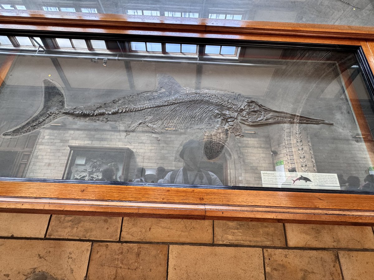 TOKYOMODELING@次回はWF2026s tweet media