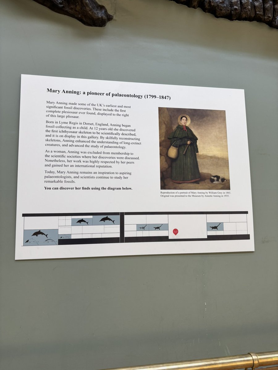 TOKYOMODELING@次回はWF2026s tweet media