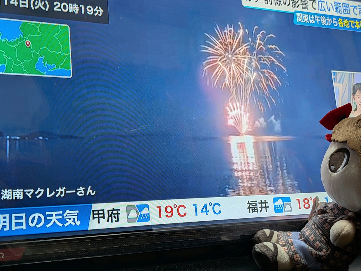 なまこ tweet media