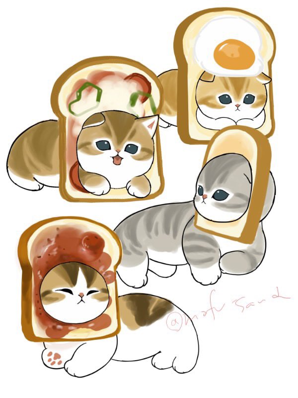 ぢゅの🐈 tweet media