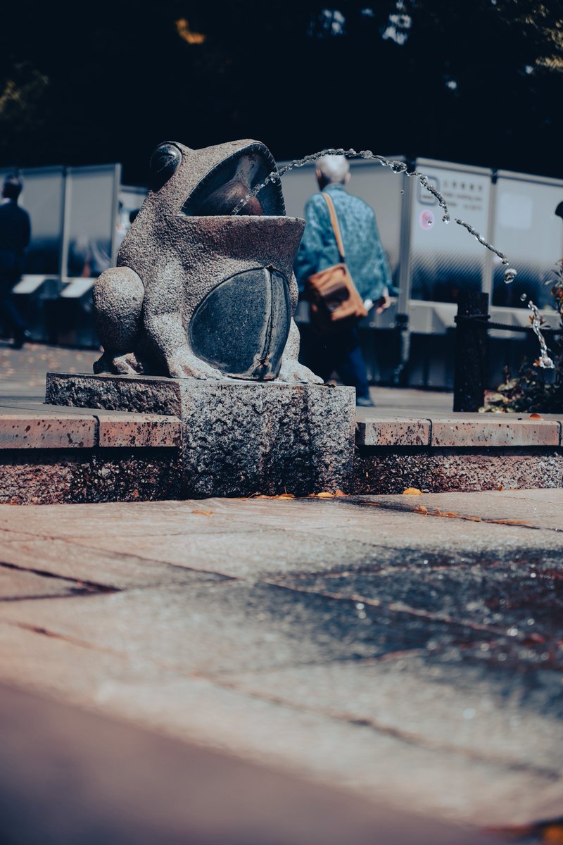 dk@でぃ〜け〜 tweet media