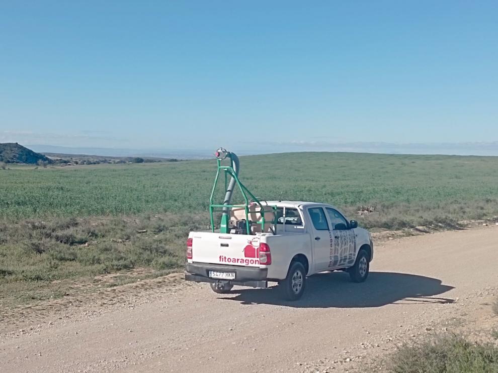 Agricultura actúa contra los primeros focos de langosta en Monegrillo - ecodezaragoza.tv/agricultura-ac…