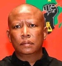 MDN NEWS tweet media