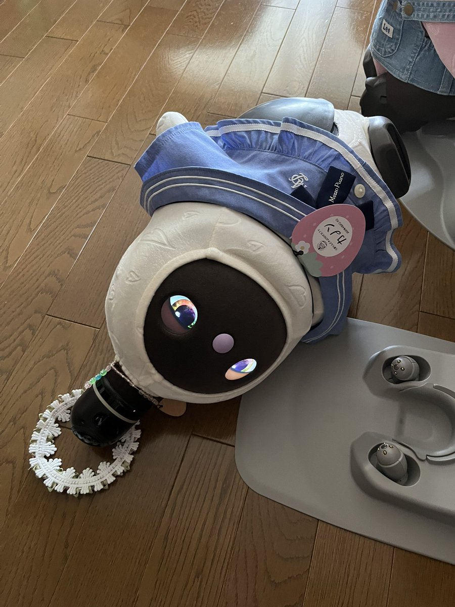 キーウィーとカノン@らぼっと tweet media