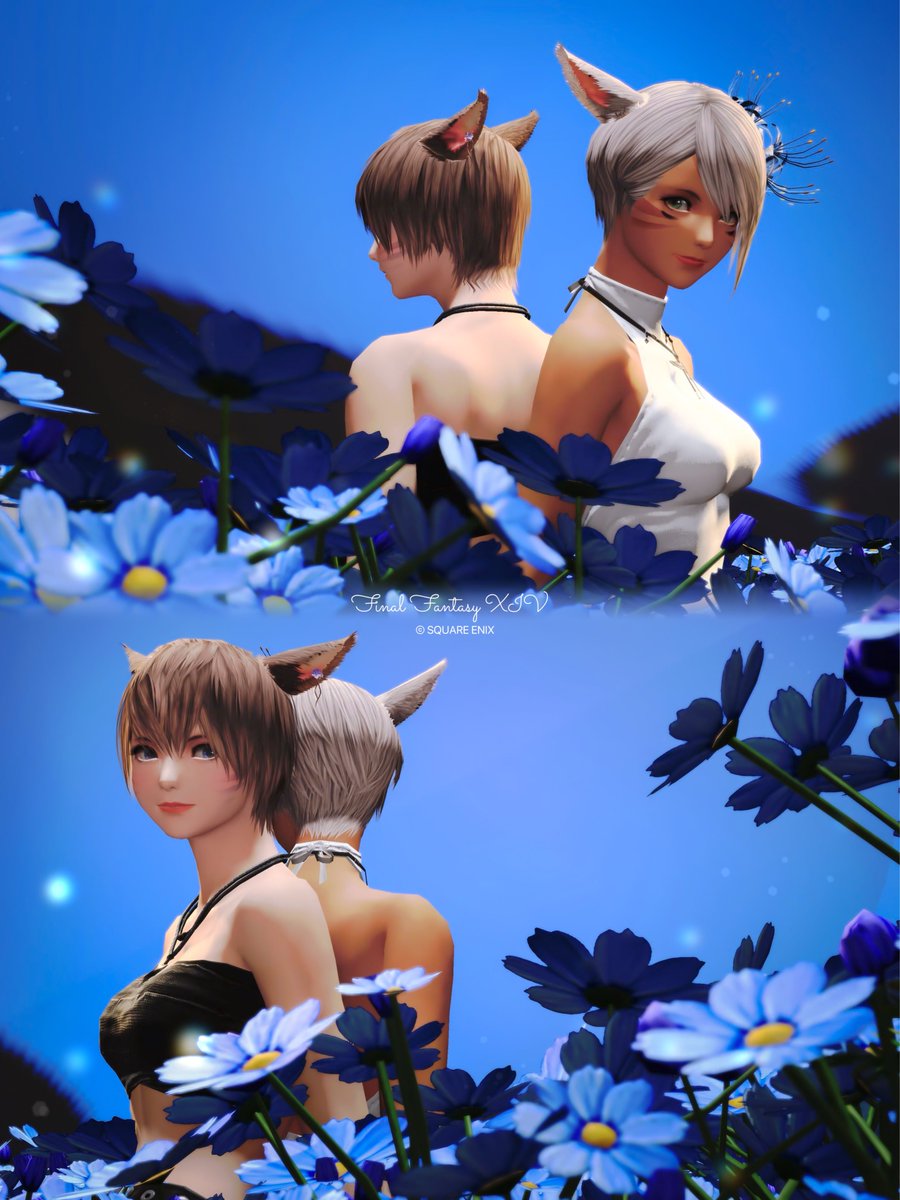 𝕌𝕝𝕦 ❖𝚔𝚞𝚓𝚊𝚝𝚊 tweet media