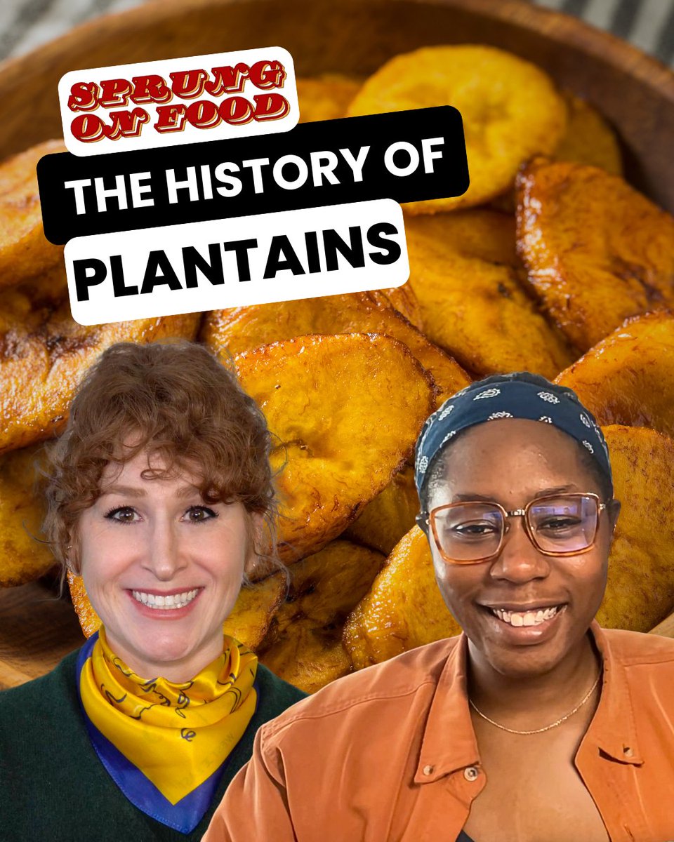 katherine sprung tweet media