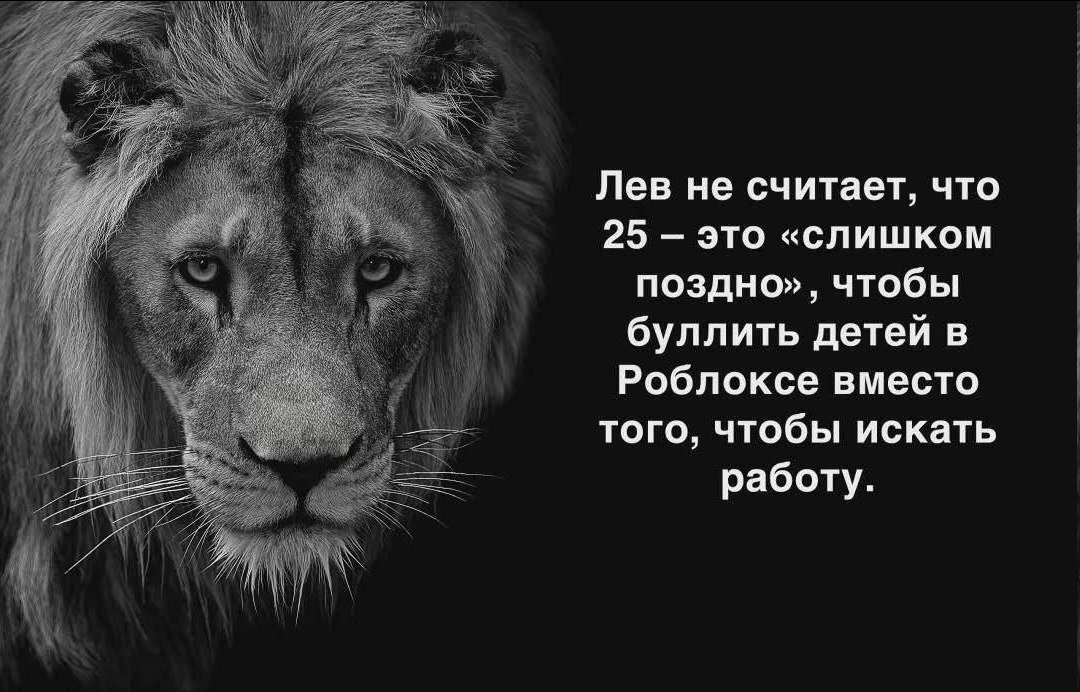Sir Chadder tweet media
