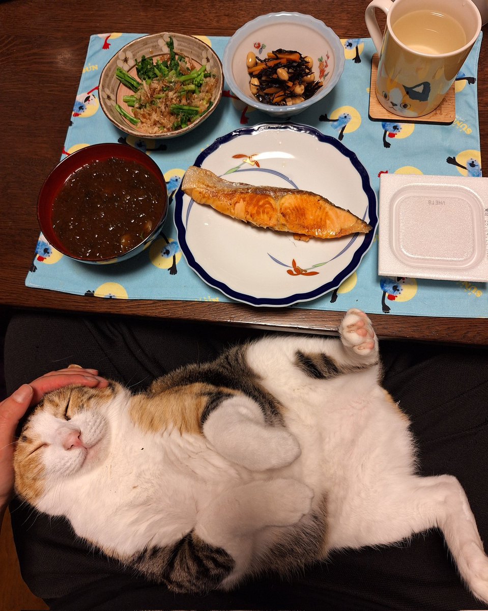 にこちゃまちゃんぬる tweet media