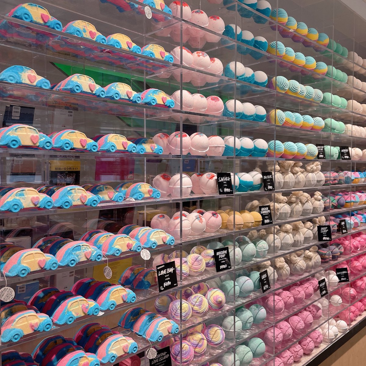 도토리 tweet media