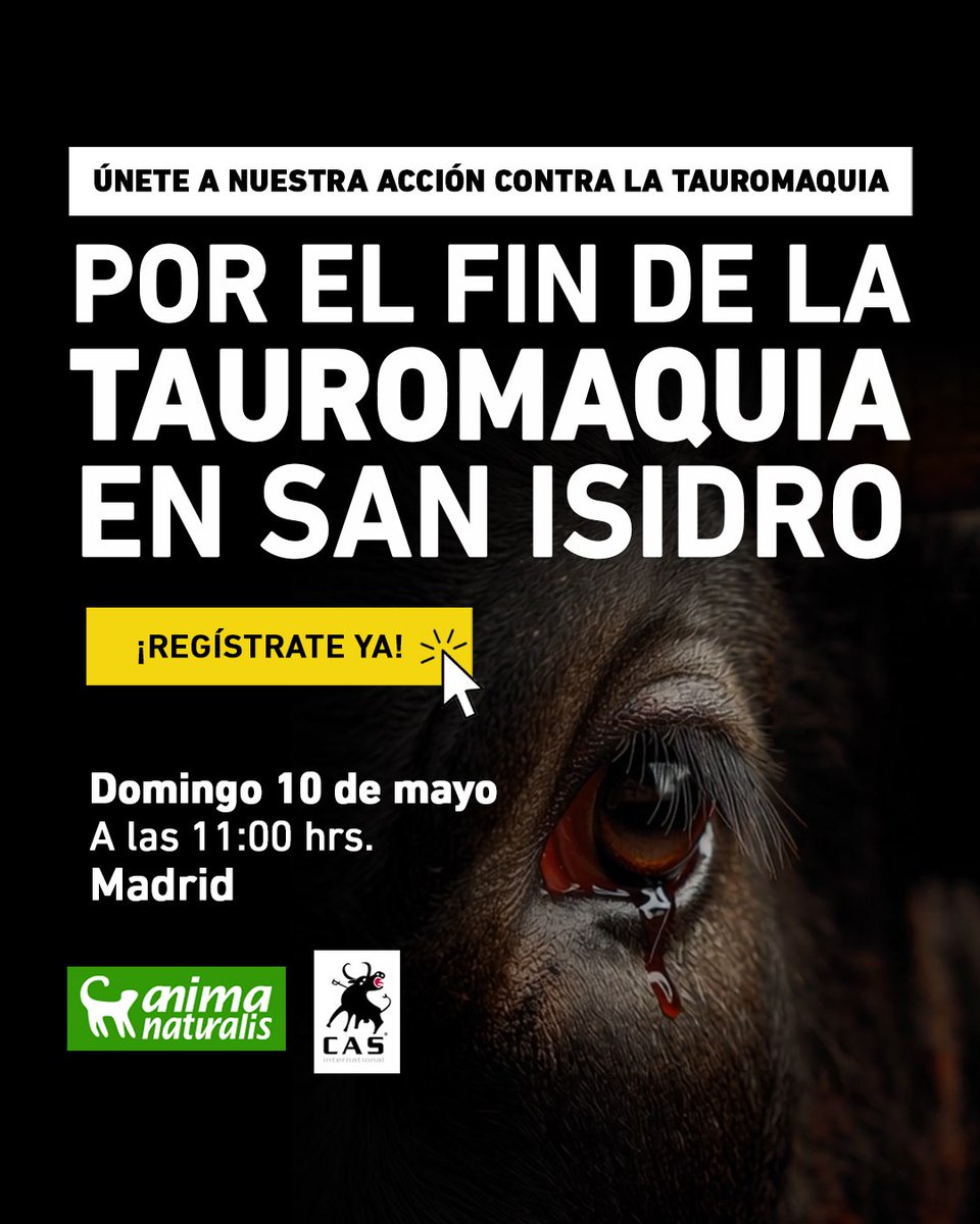 🐂📢 ¡Próxima acción en Madrid!

<a href="/AnimaNaturalis/">AnimaNaturalis</a>, junto a <a href="/CAS_Int/">CAS International</a>, realizaremos una acción de protesta contra la Feria Taurina de #SanIsidro2026

¡ÚNETE!
🗓 Domingo 10 mayo 2026
📍Plaza de Toros de Las Ventas, Madrid, España
⏰ 11:00

👉 Regístrate ya: animanaturalis.org/eventos/47070