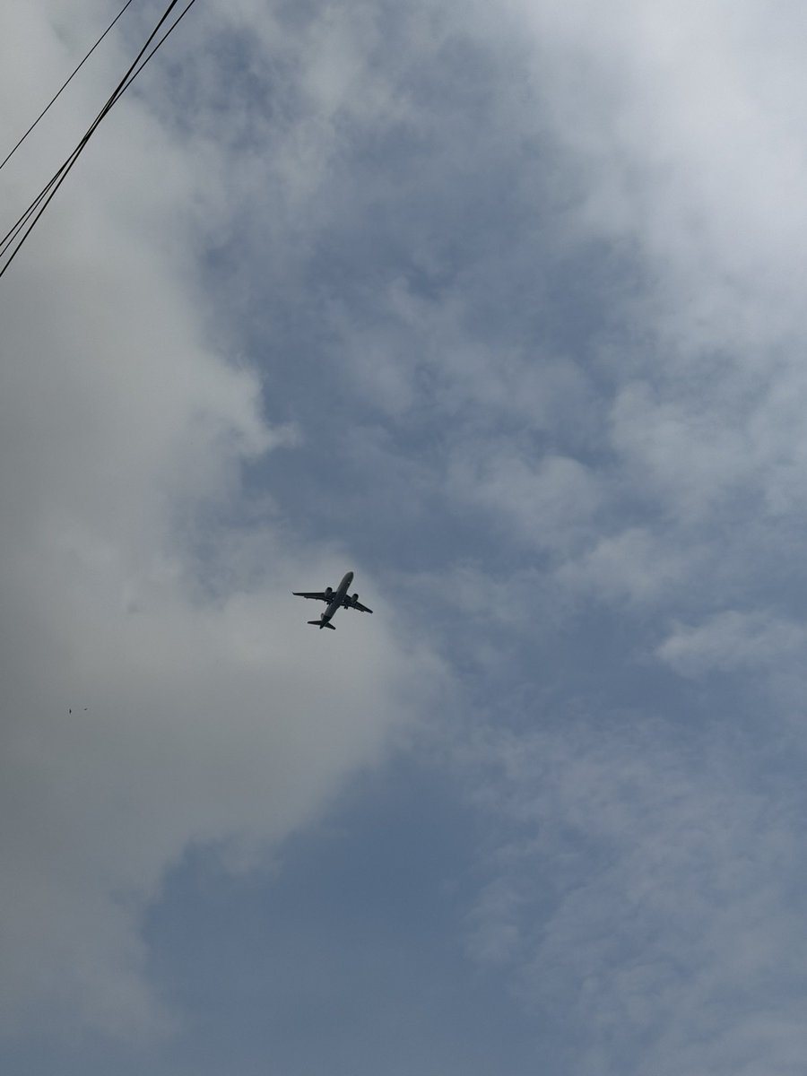 chainmonky tweet media