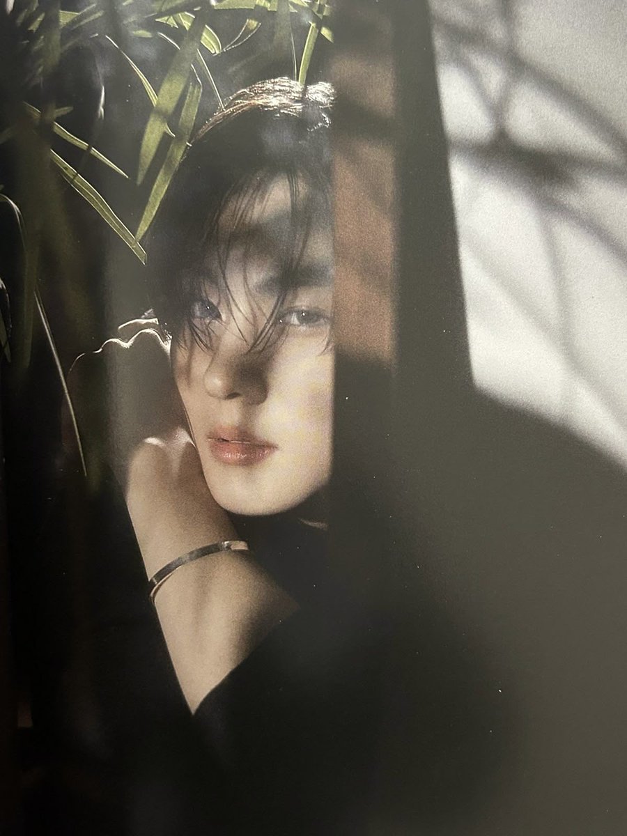 양쩡💭 tweet media