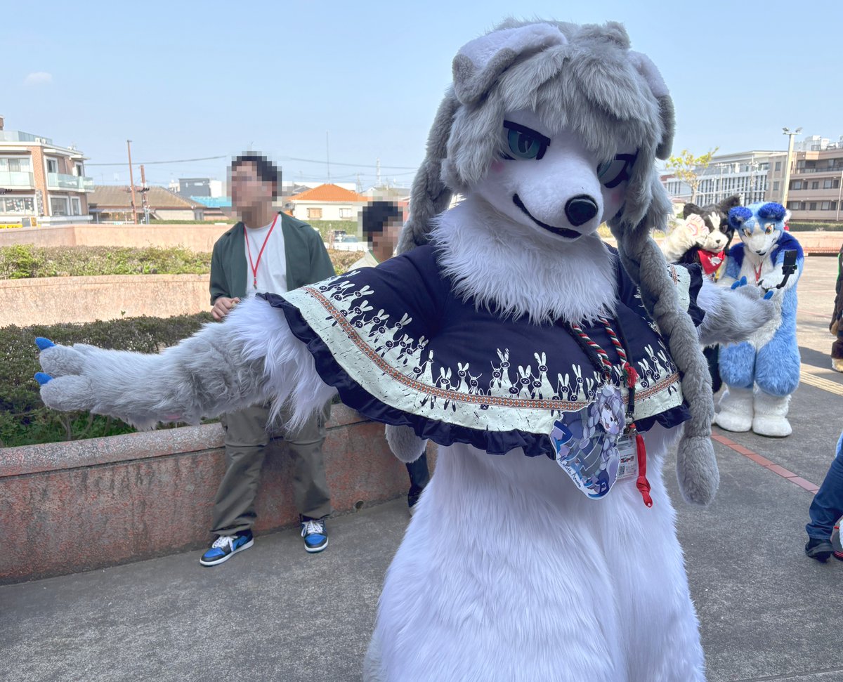 こりいぬ tweet media