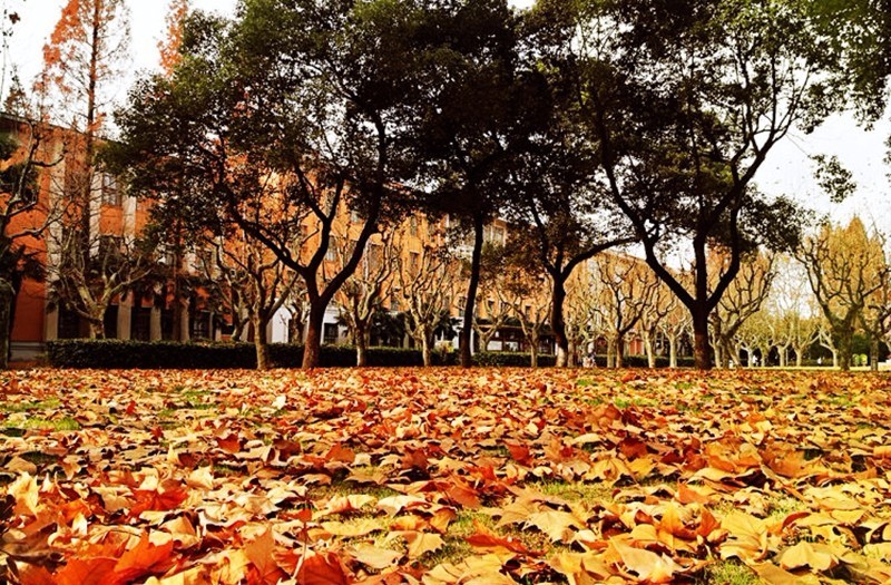 Pauline Bilodeau tweet media