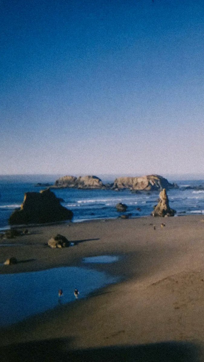 paths_waves's tweet photo. after detour, coastbound
https://t.co/7eTCS45rQw
#disposablecamera #film #filmphotography #35mm #oregoncoast #beach #pnw https://t.co/yvsnobnJC8