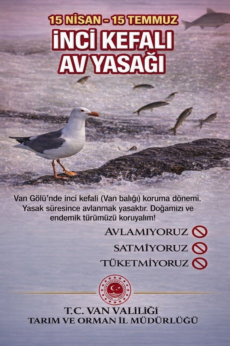 Ekolojik değerimiz ve bölge ekonomimizin
can damarı olan İnci Kefali'nin üreme dönemi başlamıştır. 15 Nisan - 15 Temmuz tarihleri arasında Van Gölü ve akarsu ağızlarında her türlü avcılık, nakliye ve satış faaliyeti yasaktır.
<a href="/ibrahimyumakli/">İbrahim Yumaklı</a> <a href="/bsgmtr/">Balıkçılık ve Su Ürünleri Genel Müdürlüğü</a> <a href="/tcvanvaliligi/">T.C. Van Valiliği 🇹🇷</a> <a href="/trgyssmn/">Turgay ŞİŞMAN</a>