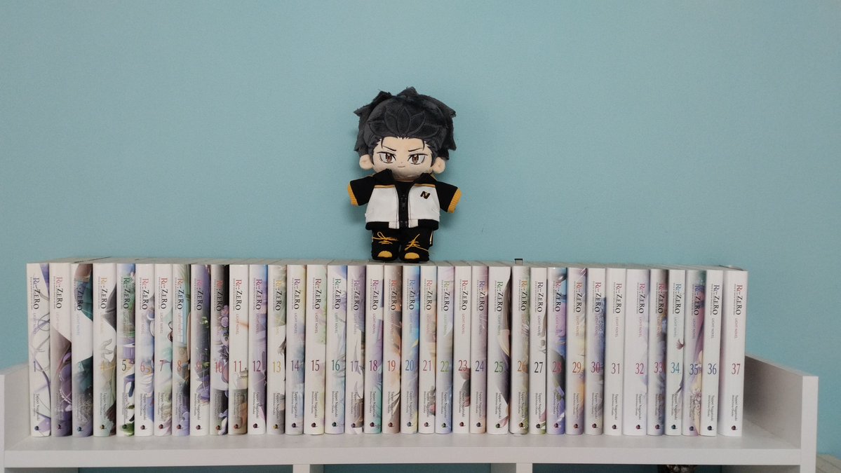 Subaru guarding my novel collection