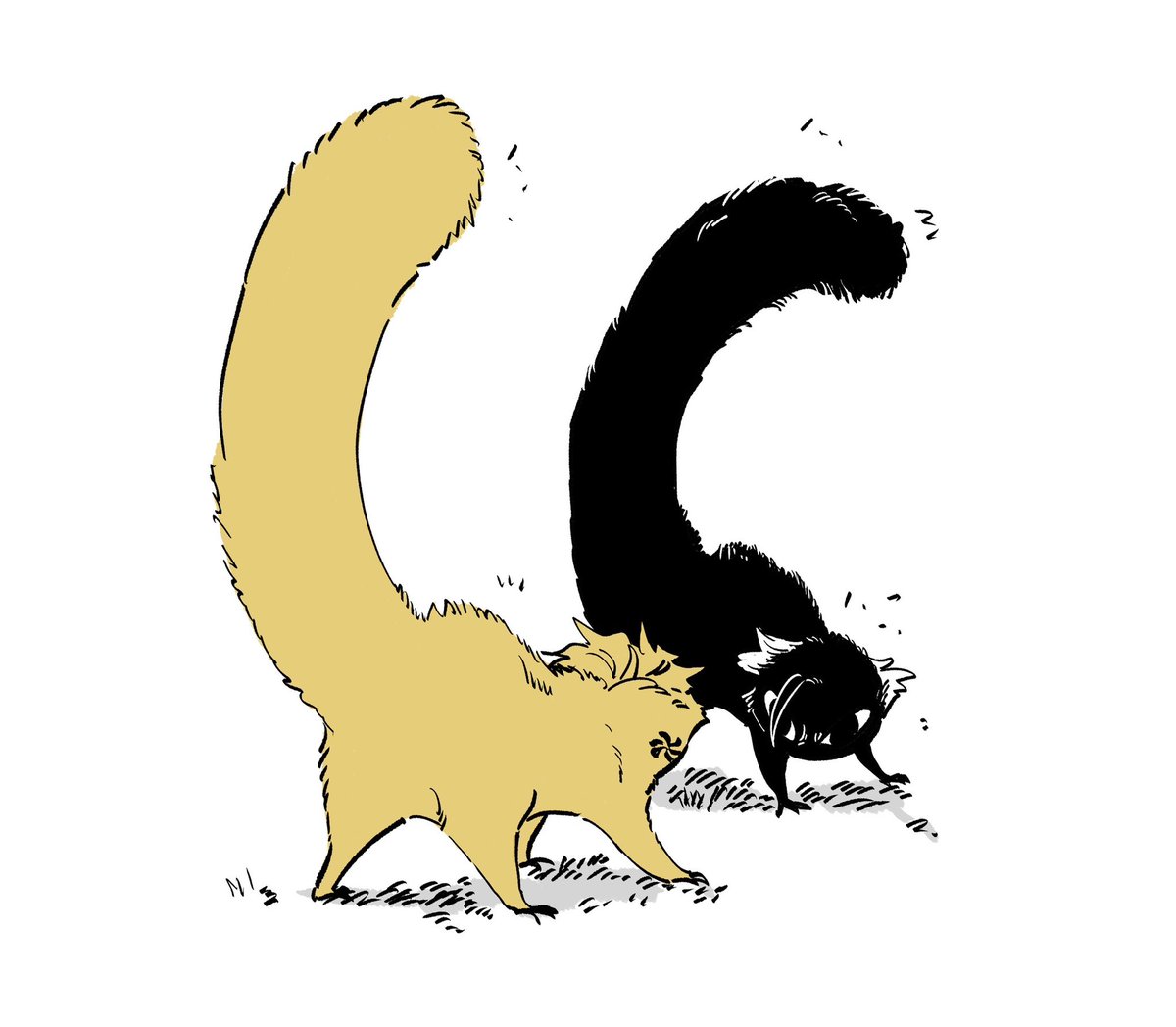 ด่อนดำ tweet media