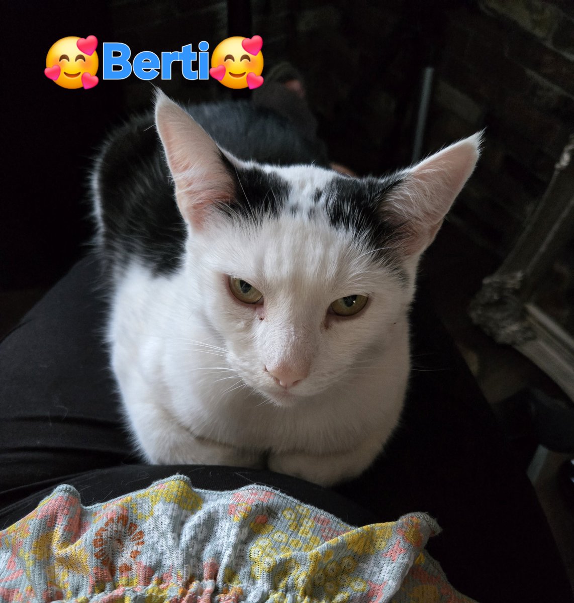 MatureMistressLucy tweet media