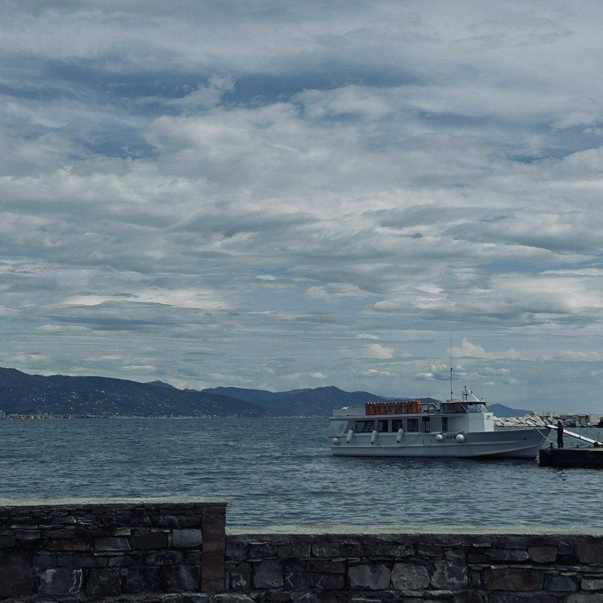 cece ♱ tweet media