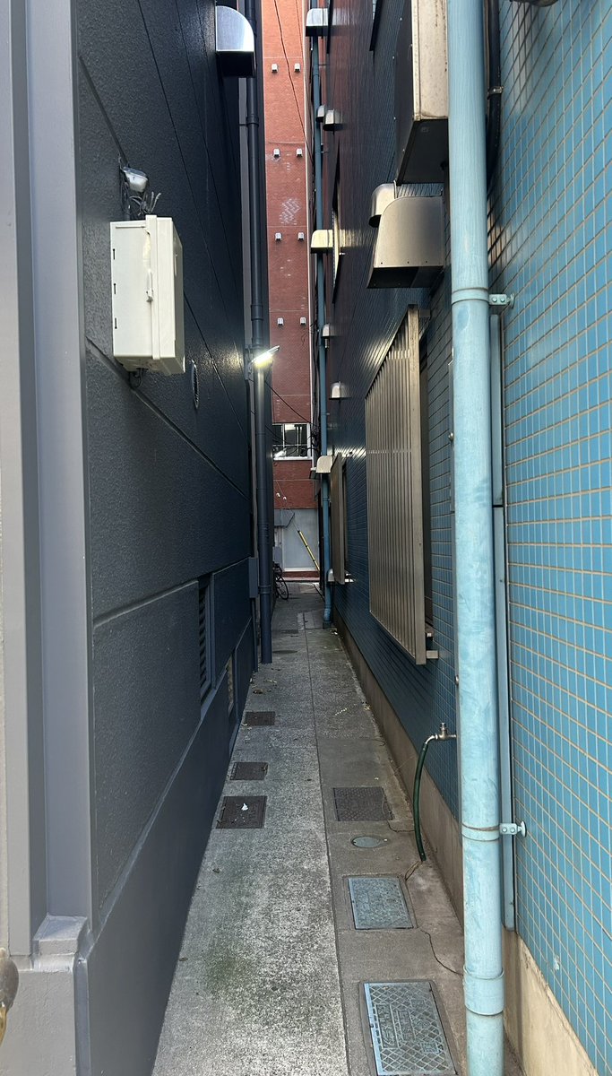 近藤 利紘 tweet media