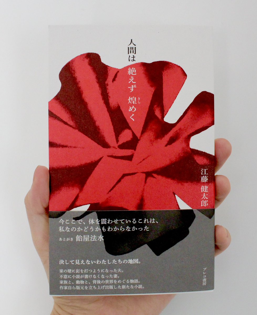 norimizu ameya I love body style 本 飴屋法水 Okashi Na Mizuame DIY Japanese Sticky Kit - YouTube