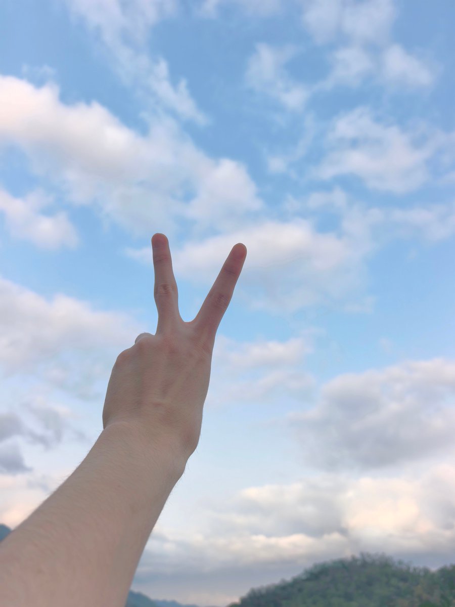 小鱼天🦈 tweet media