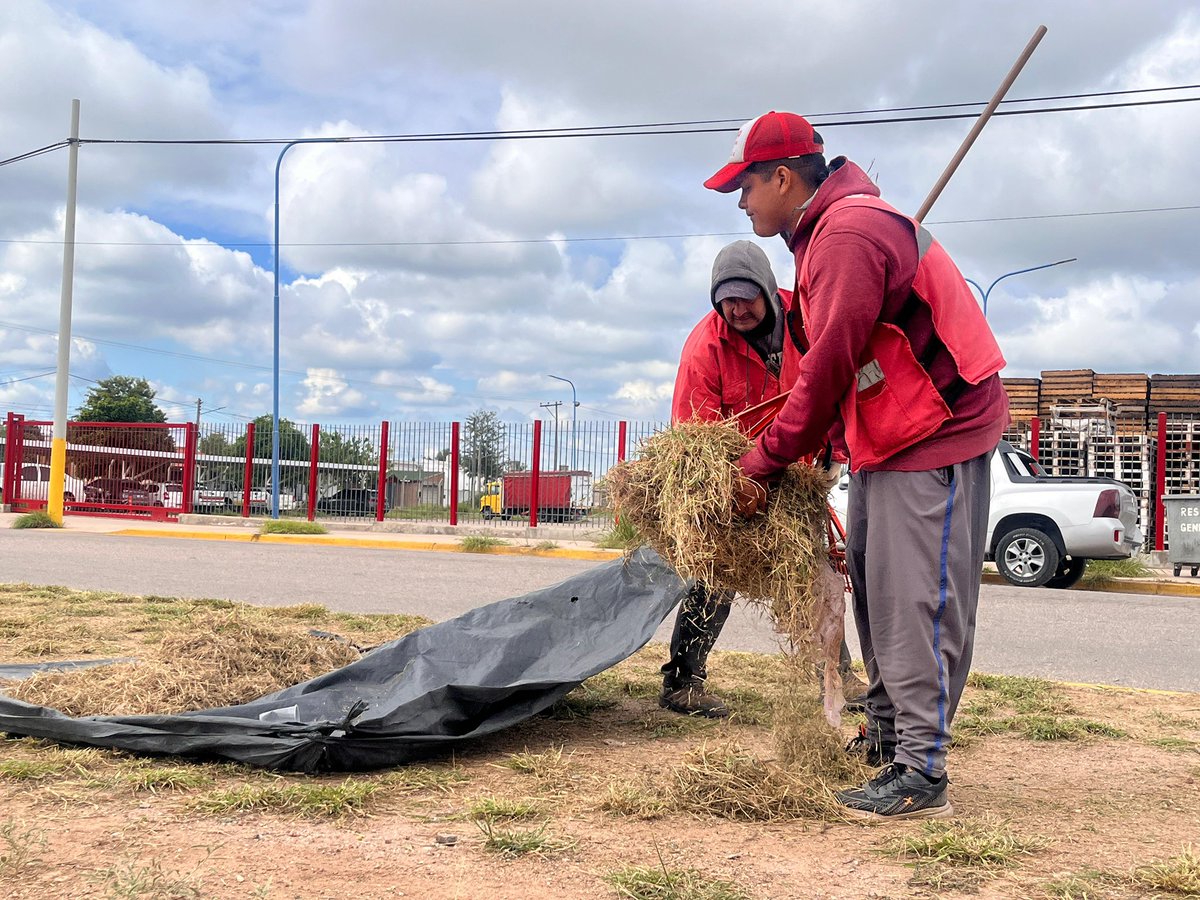 Munilarioja's tweet photo. ✅ Realizamos tareas de limpieza y desmalezado en la avenida Félix de la Colina.

👉🏻🔆 Seguimos trabajando para mejorar cada sector, con el objetivo de lograr una Ciudad Segura, Ordenada y Limpia. https://t.co/m7bS6n7r4t