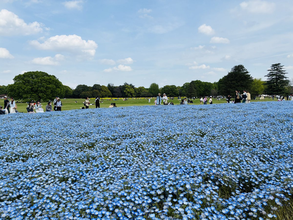 昭和記念公園セグウェイツアー【5月まで予約受付中】 tweet media