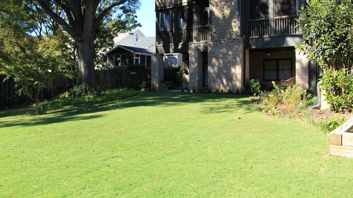 TifTuf Turfgrass - Official Account tweet media